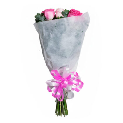 Abrazo a la Alegría