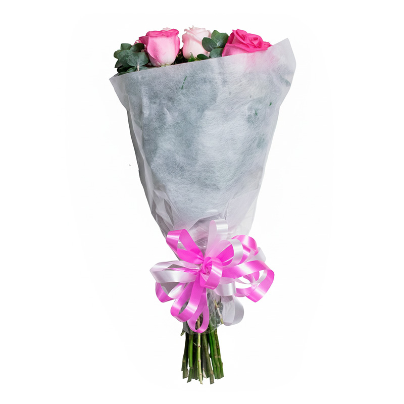 Abrazo a la AlegrÃa