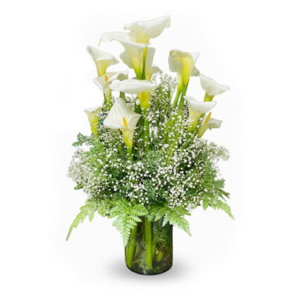 Alcatraces en Cristal