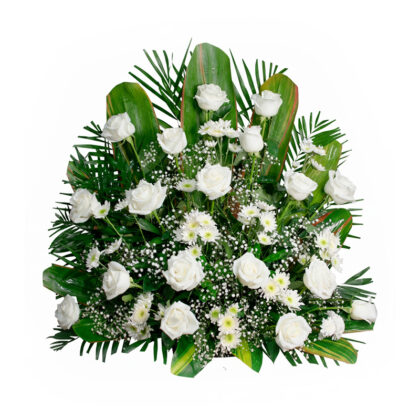 Clásico de 18 Rosas