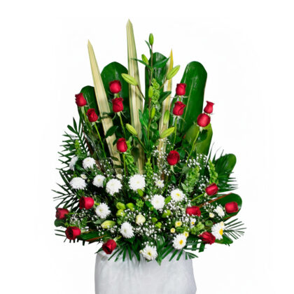 Demostración de Amor