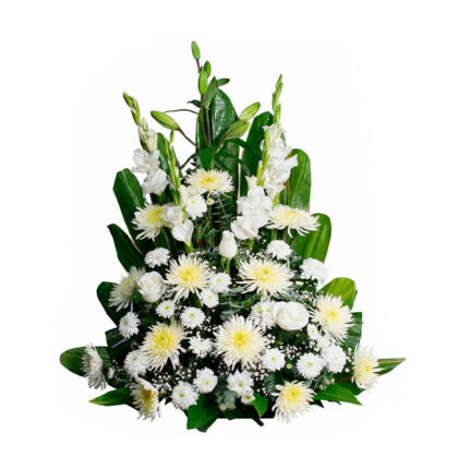 Tributo a la Memoria